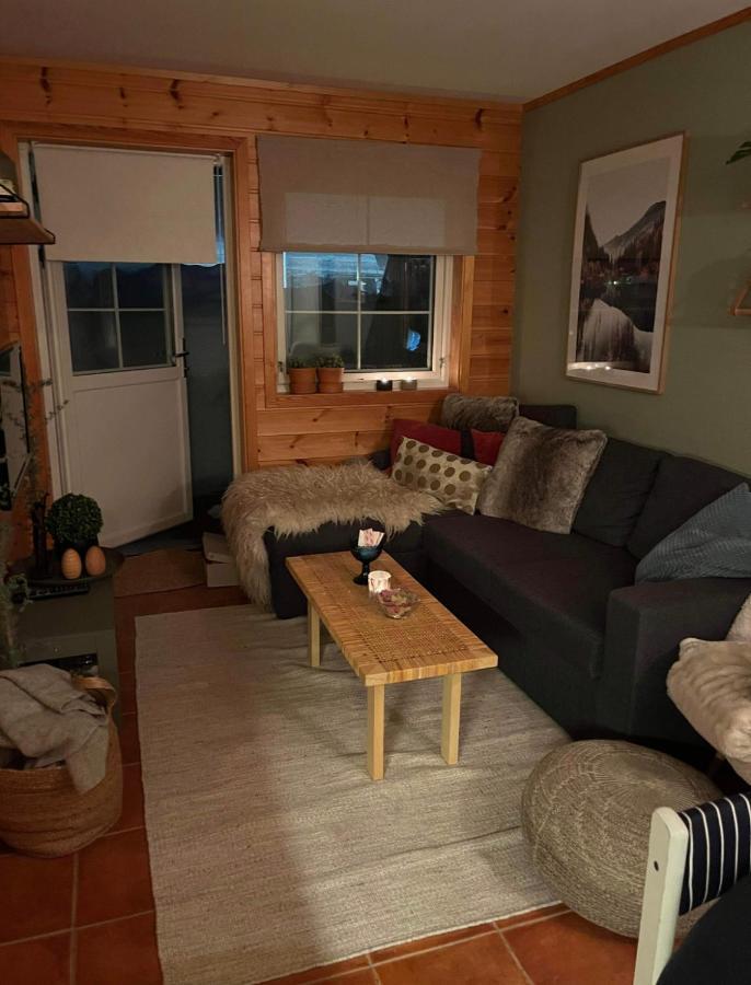 Leilighet Pa Gautefall Apartment Drangedal Екстериор снимка